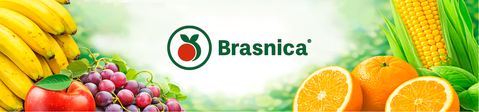 Brasnica - 16.03
